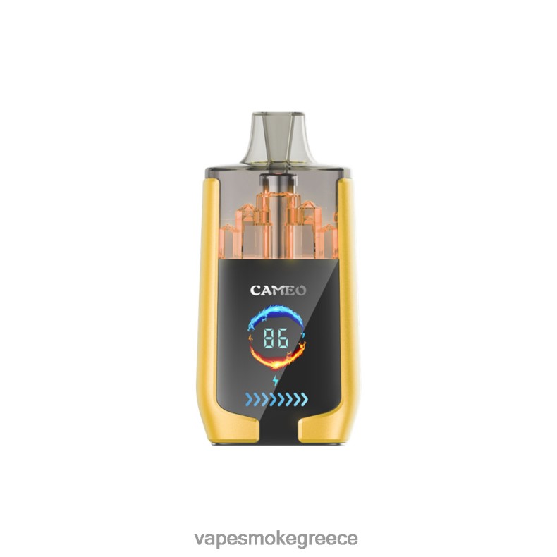 Vape Greece - LAVIE CAMEO 30000 ρουφηξιές πάγος μάνγκο LFFP0Z21